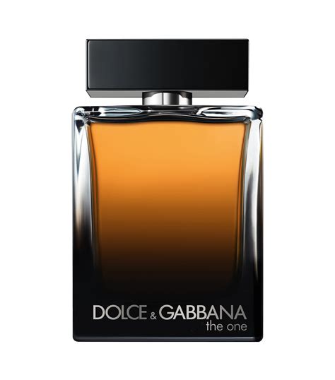 the one dolce & gabbana herren|d&g the one price.